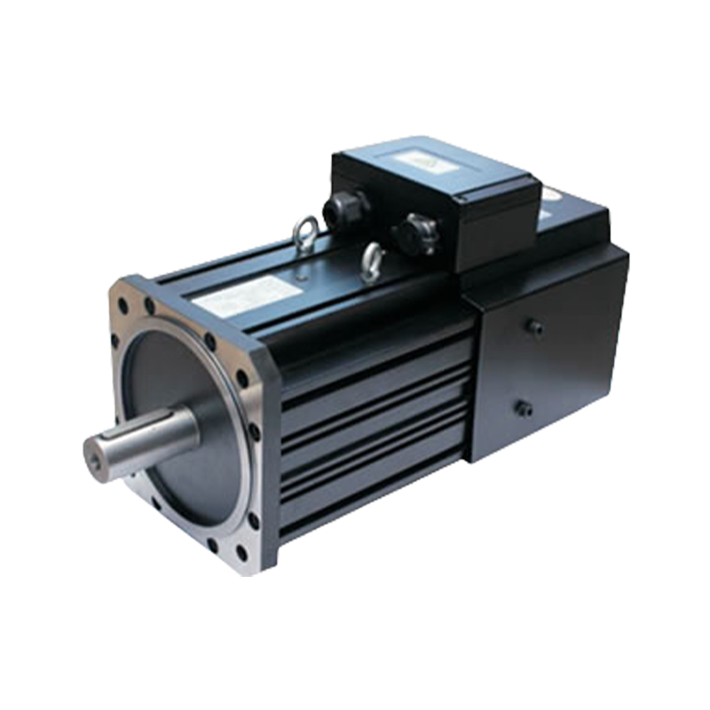 Asynchronous Servo Motor